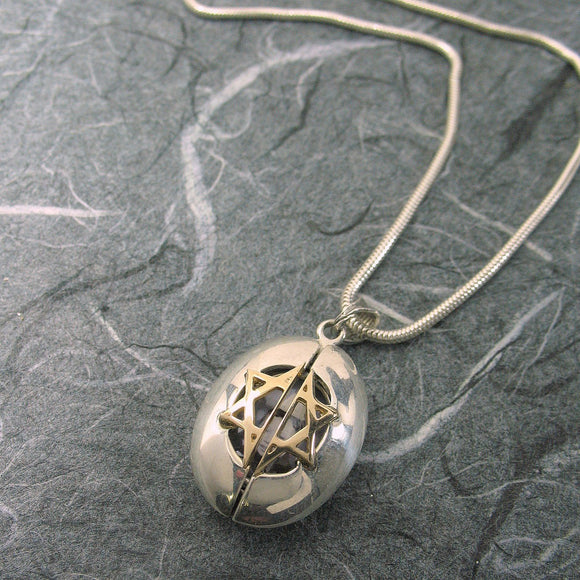 Star Of David Ladybug Locket Silver and 14K Gold