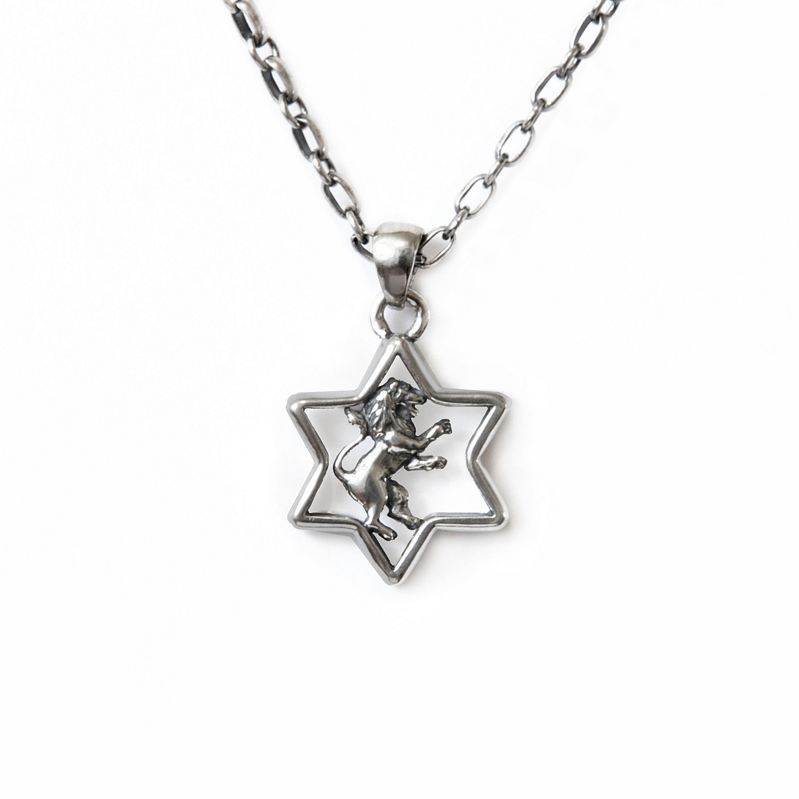Star of david outlet lion of judah pendant