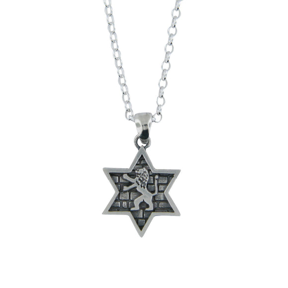 Star of David Lion of Judah Pendant Necklace Silver on Rolo Chain Bar-Mitzvah Boys, Teens