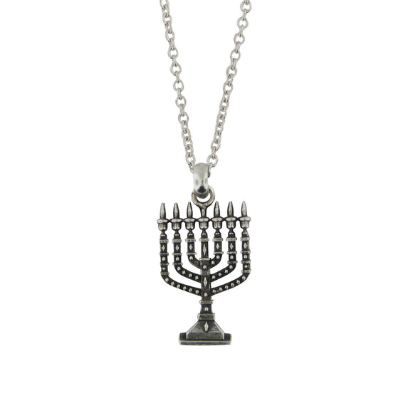 Pendant Necklace Rolo Chain