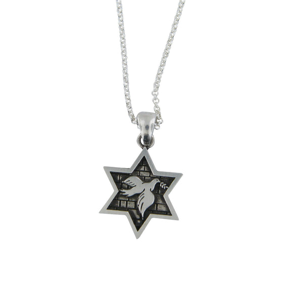 Star of David Dove of Peace Pendant Necklace Silver on Rolo Chain Bar-Mitzvah Boys, Teens